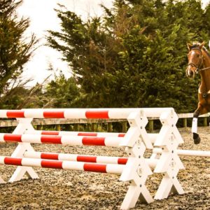 What is a Cavalletti?