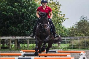 A Favourite Exercise Using Cavalletti