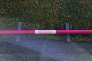 Pole: princess