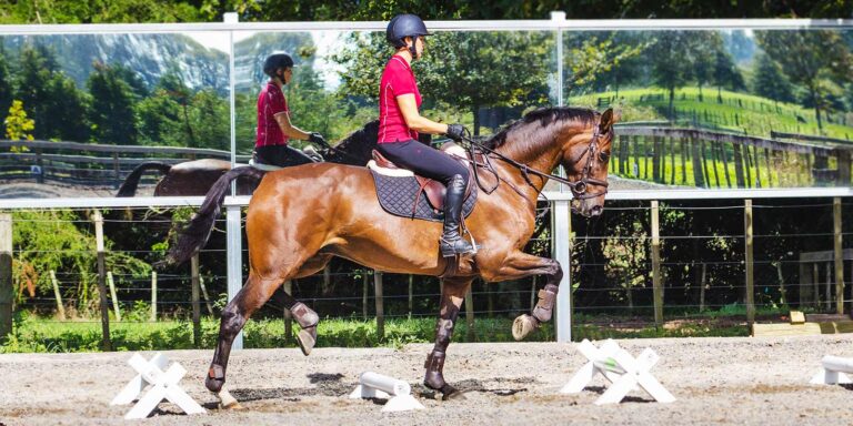 Nine Cavalletti Exercises, Make Your Training Happen!